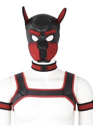 Комплект для игры в раба dog bondage gear kit blue секс-магазин взрослых игрушек