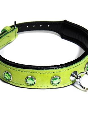 Нашийник зі стразами тонкий ds fetish шкіряний, салатовий (голландія) секс-магазин дорослих іграшок