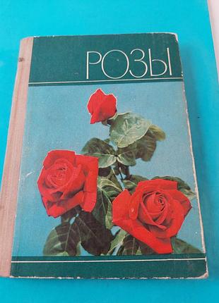 Книга.  розы.