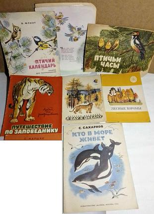 Книга детям рассказы о животных, птицы, лес, море, в картинках, 7 штук набор