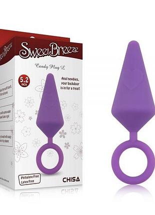 Фіолетовий анальний корок із кільцем candy plug large секс-магазин дорослих іграшок