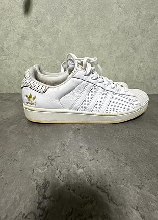 Adidas superstar