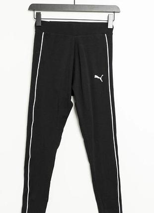 Ласіни puma