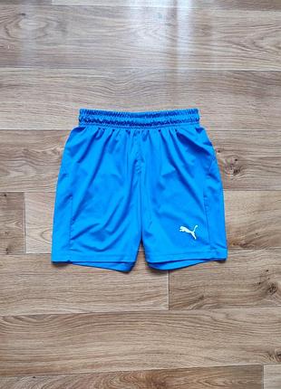 Классные спортивные шорты