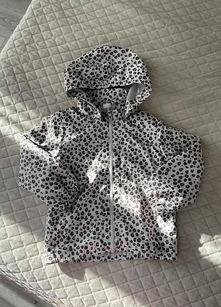 Вітровка h&m hm ветровка 98-104 для дівчинки 3-4 роки леопардова