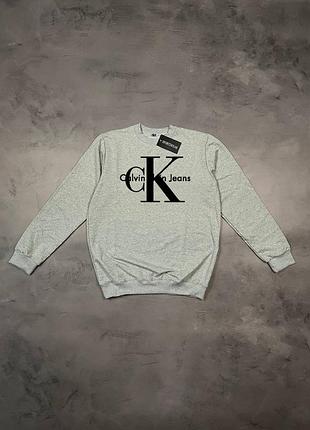 Мужской серый свитшот, толстовка, реглан