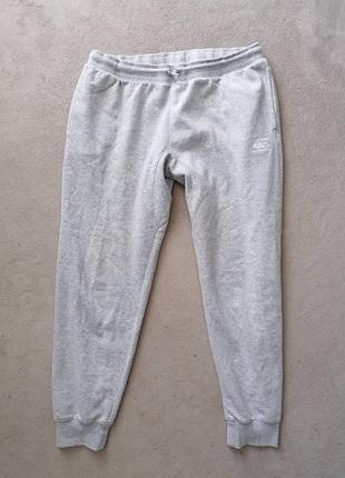 Брендовые спортивные штаны canterbury.