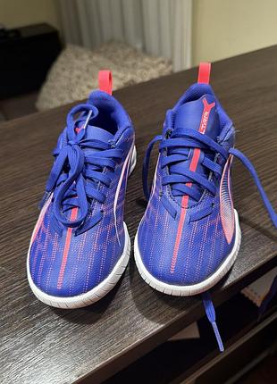 Сороконіжки puma