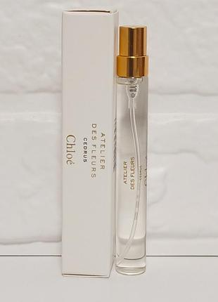 Chloé atelier des fleurs cedrus мініатюра