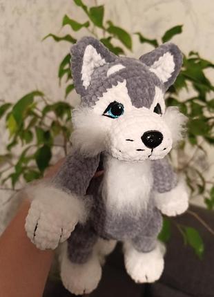 Хаски, собака песик, волк, плюшевый хаски