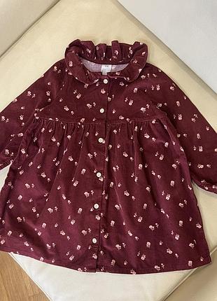 Дуже гарна вельветова сукня у квітковий принт на дівчинку від h&m 1.5-2 роки ріст 92 стан нова без бірки дов 51, шир 30, рукав 32, з комірцем
