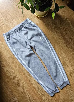 Детские спортивные штаны adidas на девочку 6-7роков джоггеры серого цвета