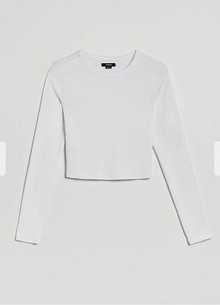 Лонгсліви сірий та білий 3