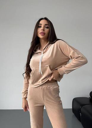 Велюровый спортивный костюм худи и штаны джоггеры