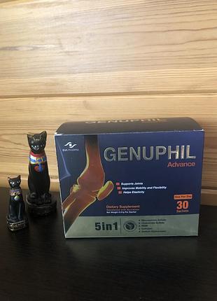 Женуфіл-genyphil advance 5 в 1  суглоби