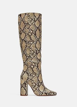Чоботи zara