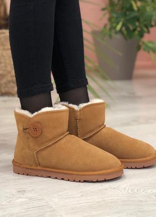 Зимние женские угги ugg mini bailey button brown коричневые (уггі)1 фото