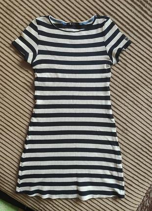 Сукня odgii жіноча