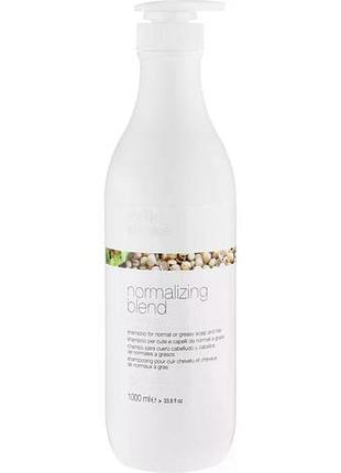 Шампунь milk_shake для нормальных и жирных волос normalizing blend shampoo 1000 мл