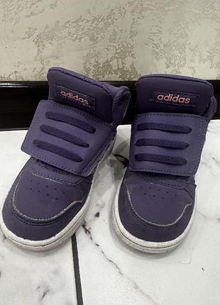 Високі кросівки adidas