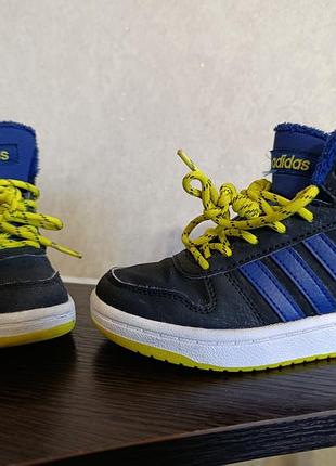 Хайтопы adidas 30-го размера