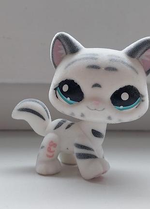 Фигурка littlest pet shop lps лпс пет шоп петшоп кошка 3д игрушка фигурки игрушки пет шопы петшопы little pet shops petshops pets los петшопы