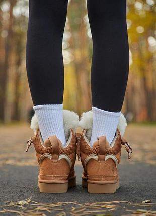 Ugg lowmel sneaker high chestnut 7