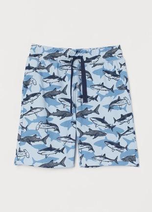 Шорты бермуды в акулы 3/4 лет от hm