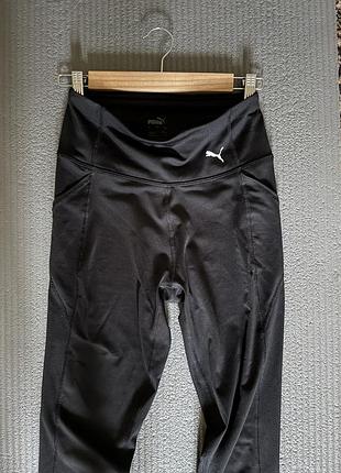 Спортивні лосіни puma