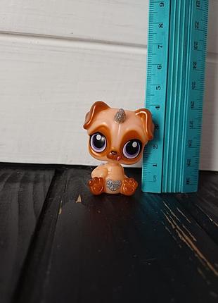 Фігурка собака песик собачка zuru rainbocorns pocket puppycorns pug.