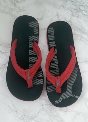 Вʼєтнамки пума puma