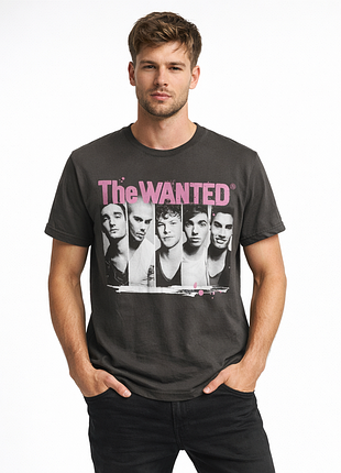 Футболка серая мужская с принтом the wanted
