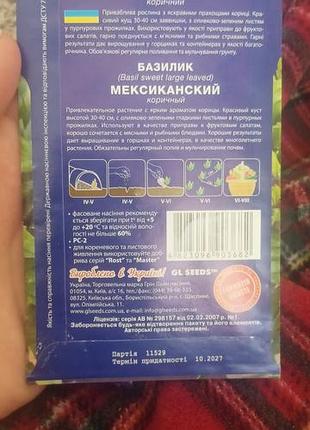 Базилик мексиканский коричный 2