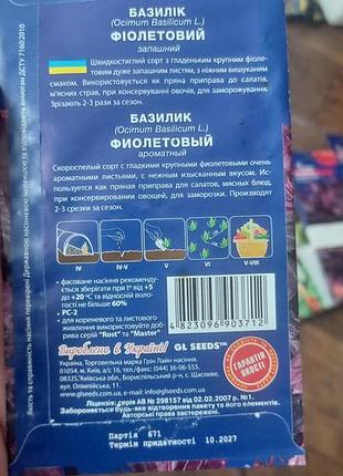 Базилик фиолетовый 2