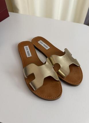 Шкіряні шльопки від steve madden