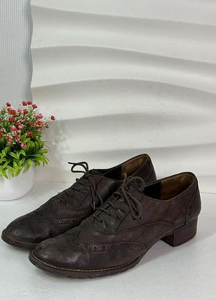 Низкие качественные коричневые туфли оксфорды броги paul green 39,5р