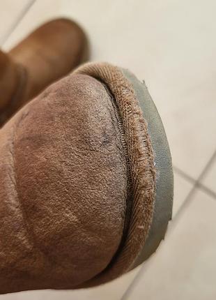 Сапожки ugg 4