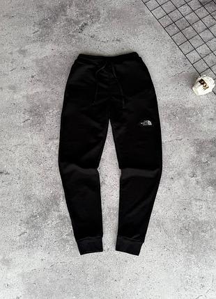 Спортивные штаны the north face
