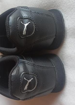 Puma turin 41 6