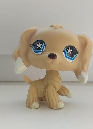 Lps лпс littlest pet shop пет шоп петшоп фигурка собака кокер спаниэль собачка фигурки животных игрушки hasbro петс шопы петсшопы спаниэль lsp
