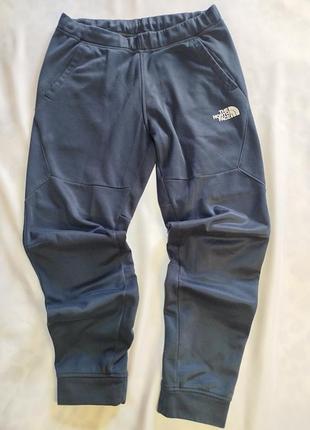 Мужские флисовые брюки the north face темно-синие