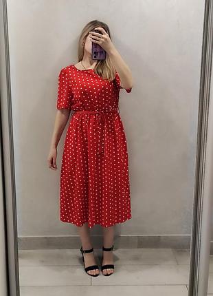 Сукня міді червона в горох з поясом