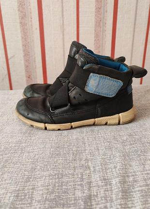 Детские кожаные демисезонные ботинки ecco intrinsic sneaker