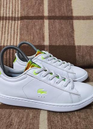 Дитячі кросівки кеди lacoste