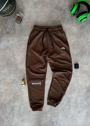 Спортивні штани the north face