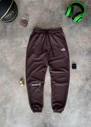 Спортивні штани the north face