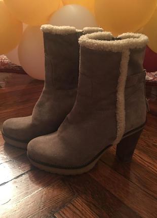 Черевики, замш