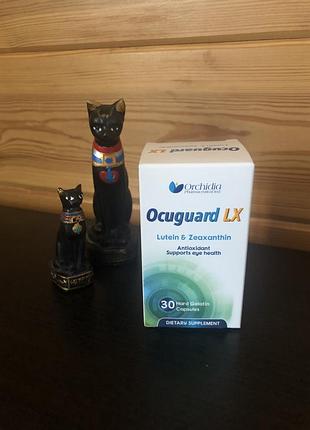 Ocuguard lx-окюгуард- зір