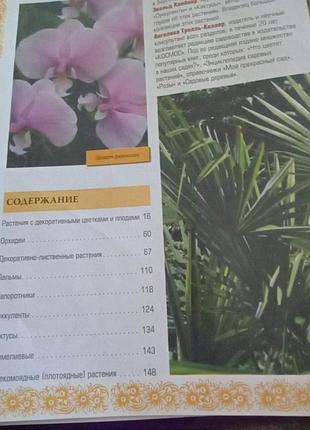 Книга о комнатных растениях 4