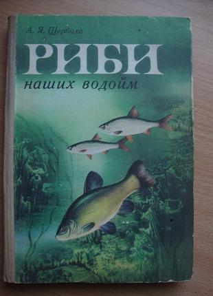 Рыбы наших водоемов